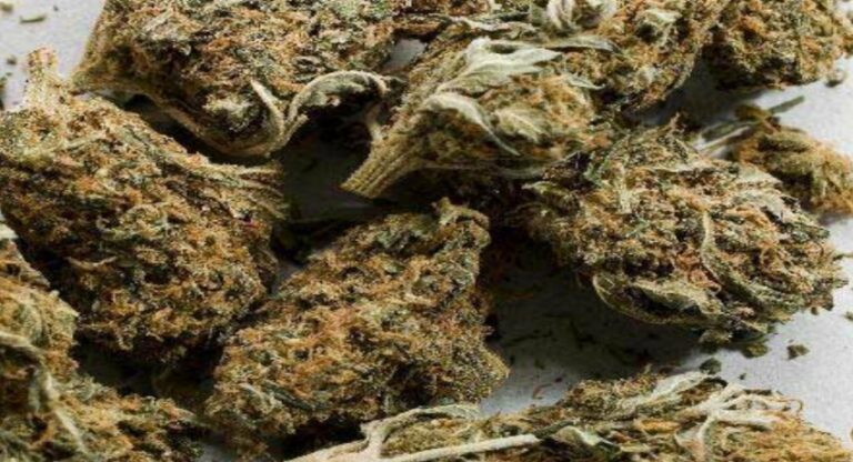 ganja-edited-_850x460_acf_cropped