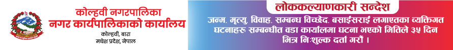 nijgadh-nagarpalika-second-lanscape-ads